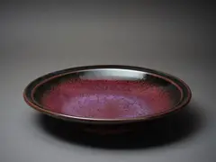 Michael Lucas, Plate