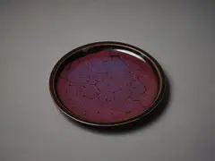 Michael Lucas, Plate