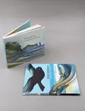 Damian Skinner, Don Binney Nga Manu/Nga Motu - Birds/Islands
