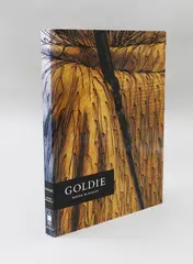 Roger Blackley, Goldie, (Auckland Art Gallery, 1997)