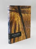 Roger Blackley, Goldie, (Auckland Art Gallery, 1997)