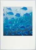 Michael Smither, Blue Maomao, screenprint, 7/50