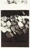 Marilynn Webb, Waipori River 2, linocut