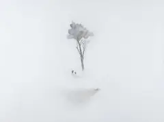 Alan Ibell, Kindling (The Unbound Offering), acrylic on board