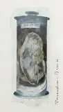 Greer Twiss, Preservation