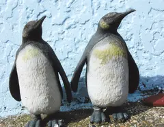 Penguins by Peter Peryer, pigment ink on Hahnemuhle Photo-rag paper, 1/10, sold Feb 2023