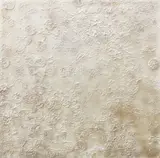 Megan Taylor, Creme Brulee, oil on canvas
