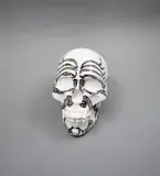 Martin Poppelwell, Skull