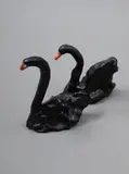 Martin Poppelwell, Two Black Swans