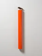 Pat Covert by Michael Parekōwhai, taxidermied sparrow and powder-coated aluminium, sold Nov 2022