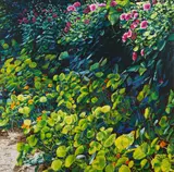 Karl Maughan, Untitled