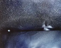 Boyd Webb, Aurora, laminated colour photograph