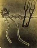 Gordon Walters, Waikanae Landscape and Composition, two small format vintage gelatin silver prints