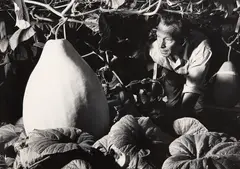Steve Arthur Rumsey, Theo Schoon growing giant African Gourds, Home Street, Auckland, 1961, 1961, vintage gelatin silver print