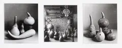 Theodorus Johannes Schoon, Gourd Arrangements, three small format gelatin silver prints