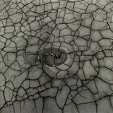 Untitled - Study of Cracked Mud by Theodorus Johannes Schoon, gelatin silver print, offered Nov 2022