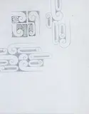 Theodorus Johannes Schoon, Kowhaiwhai Study