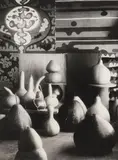 Theodorus Johannes Schoon, Gourd Collection Study