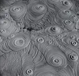 Theodorus Johannes Schoon, Waiotapu Mudpool Study