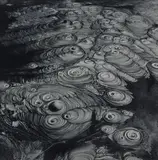 Theodorus Johannes Schoon, Waiotapu Mud Pool Study