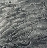 Theodorus Johannes Schoon, Waiotapu Mud Pool Study