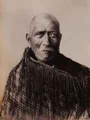 Josiah Martin, Wiremu Patara Te Tuhi, albumen print