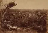 Burton Brothers, Parihaka, Looking Seaward