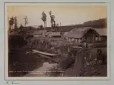 Burton Brothers, Scene of the Hursthouse Outrage, Te Kumi, King Country