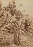 Burton Brothers, Ngahui, at Parakai, King Country