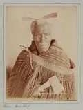 Photographer Unknown, Patara Te Ngungukai, Whakarewarewa