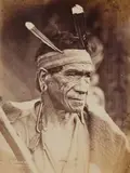 Burton Brothers, Te Hauhau