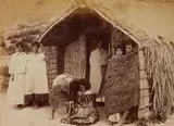 Burton Brothers, Hongi, Tarawera
