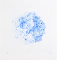 Michael Zavros, Ball, lithograph, A/P, 2018