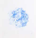 Michael Zavros, Ball, lithograph, A/P, 2018