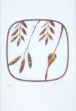 Richard Killeen, Cartleaf, digital print on architectural tracing paper, 2012