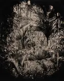 Ben Cauchi, A view of a claustrophobic paradise