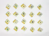 Richard Killeen, Book of Leaf, acrylic on aluminium, 20 parts, 2002