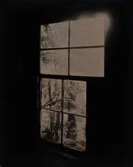 Ben Cauchi, Interior/Exterior, unique ambrotype on glass