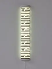 Michael Parekōwhai, The Bosom of Abraham, screenprinted vinyl on fluorescent light housing