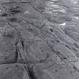Black Nerita, Buckleton Bay by Peter Peryer, gelatin silver print (May, 1986), offered Aug 2022