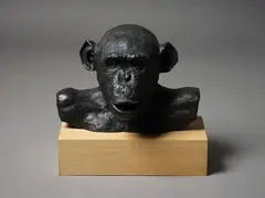 Lisa Roet, Astro Chimp, cast bronze