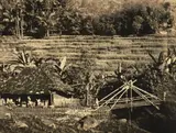 Theodorus Johannes Schoon, Indonesian Village