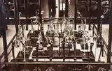 Daniel Louis Mundy, Christchurch Museum display of Moa Fossils, black and white photograph
