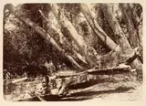 Photographer Unknown, Boy with Hoe and Waka on the foreshore, albumen print
