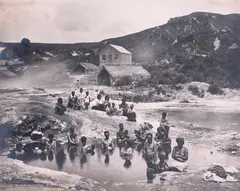 Burton Bros, In the Ngawhas, Whakarewarewa, sepia print
