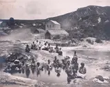 Burton Bros, In the Ngawhas, Whakarewarewa, sepia print