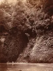 William Partington, Tawata, albumen print