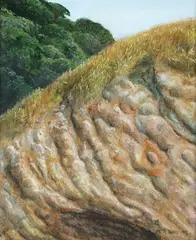 Peter Siddell, Karekare Sandhill, oil on board