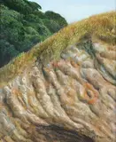 Peter Siddell, Karekare Sandhill, oil on board