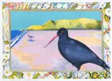 Pamela Wolfe, Oystercatcher, Karekare